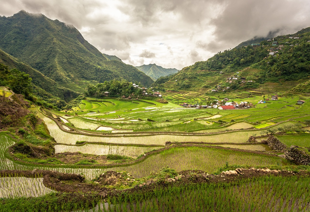 landscape green nature free photo