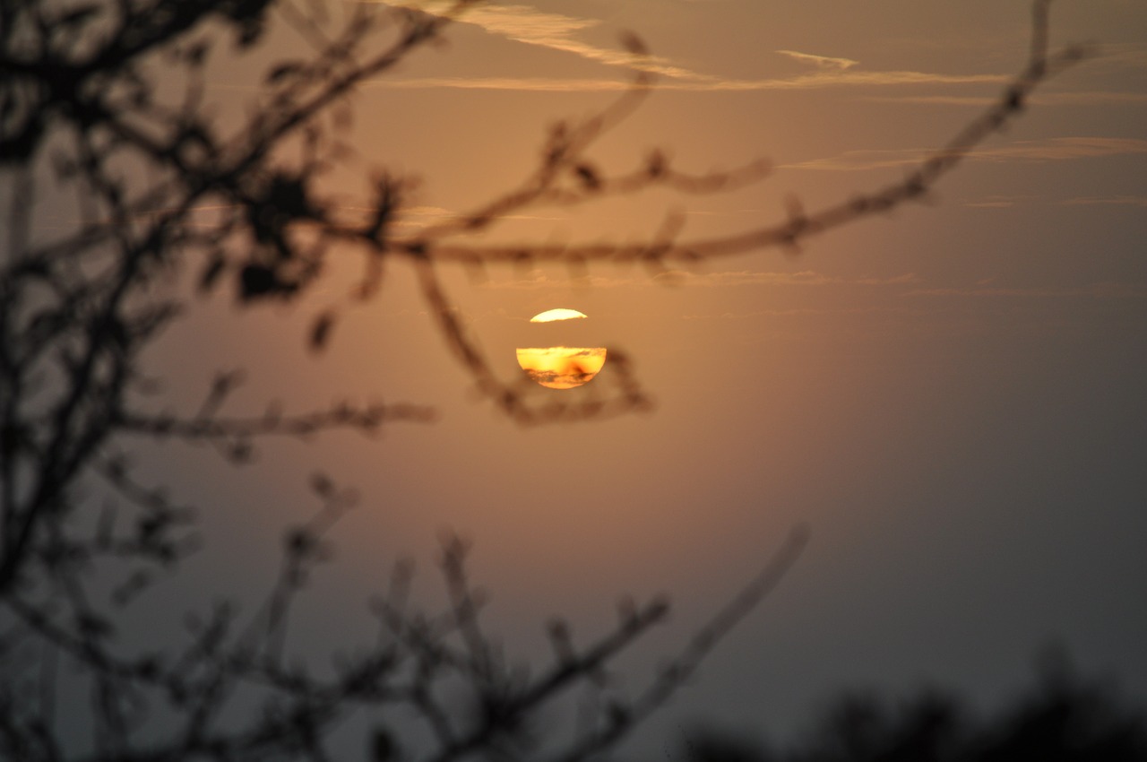 landscape sun mist free photo