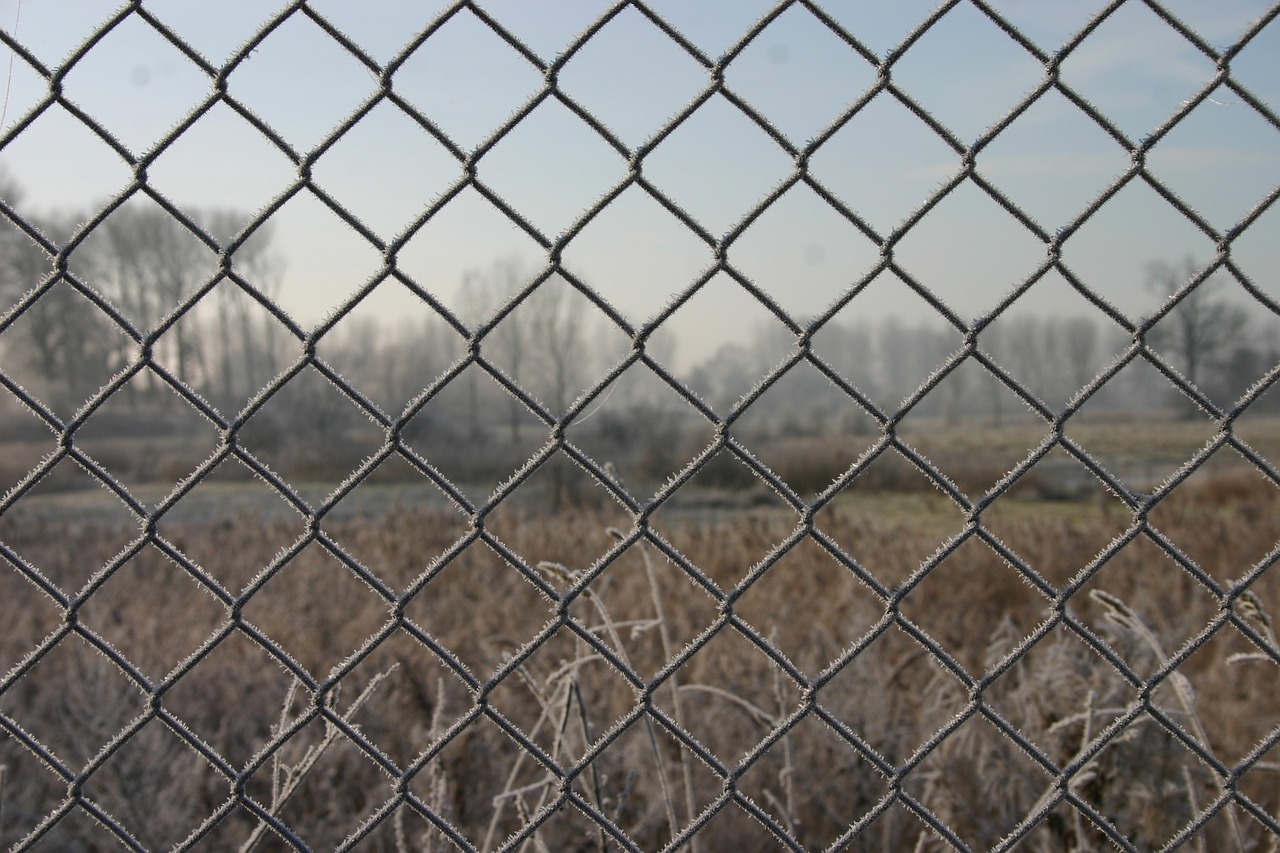 landscape mesh fence free photo