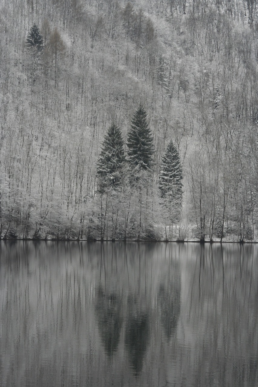 landscape lake mountain free photo