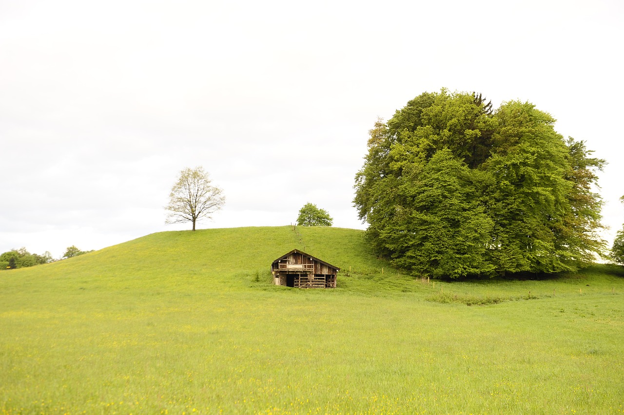 landscape green nature free photo