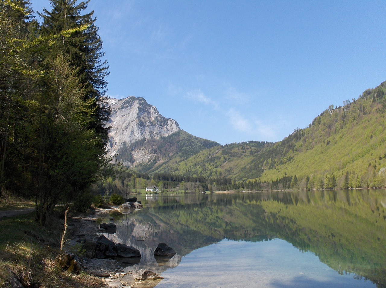 landscape mountains forest free photo