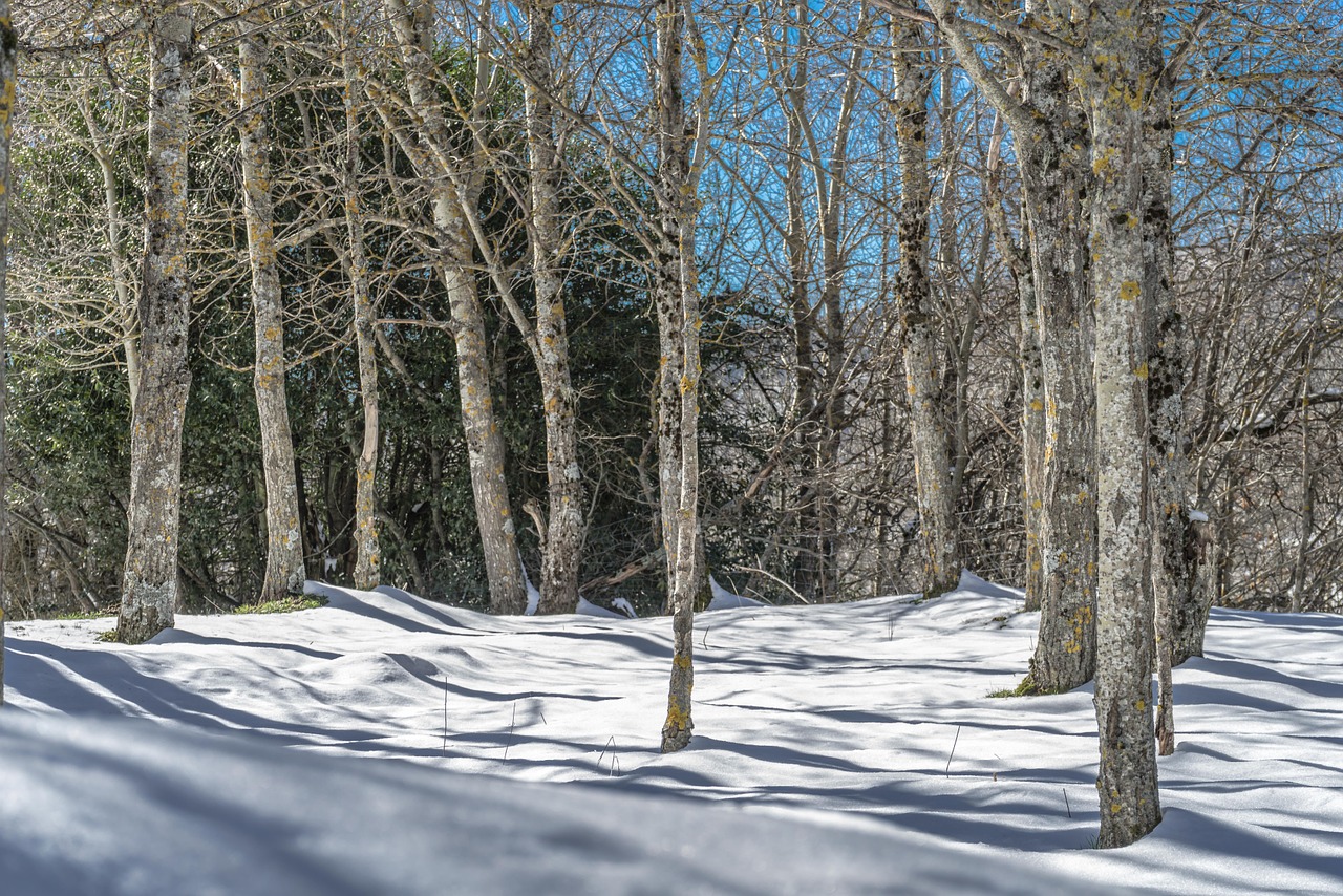 landscape nevado snow free photo