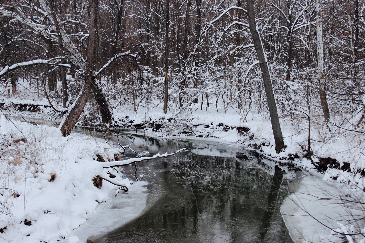 landscape frozen winter free photo