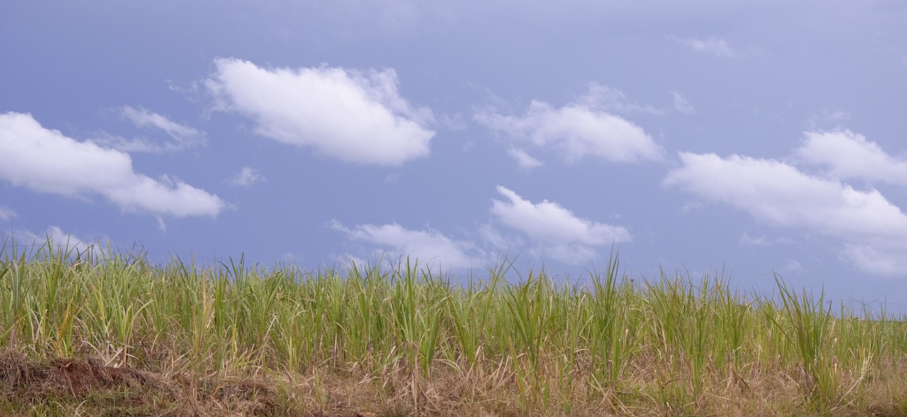 landscape sky cana free photo