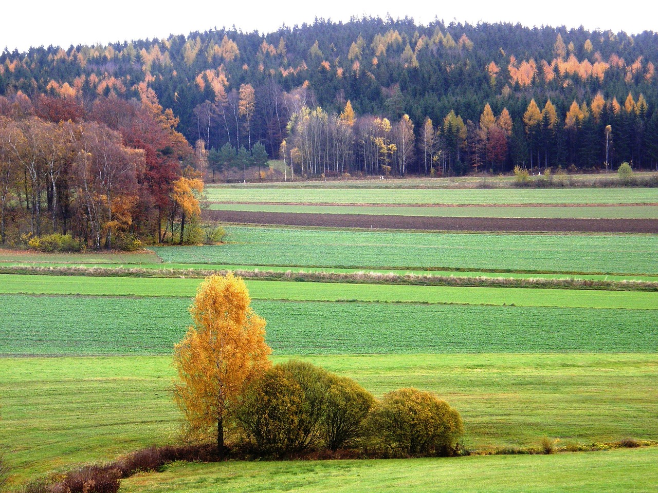 landscape herbstimpression in neualbenreuth free photo