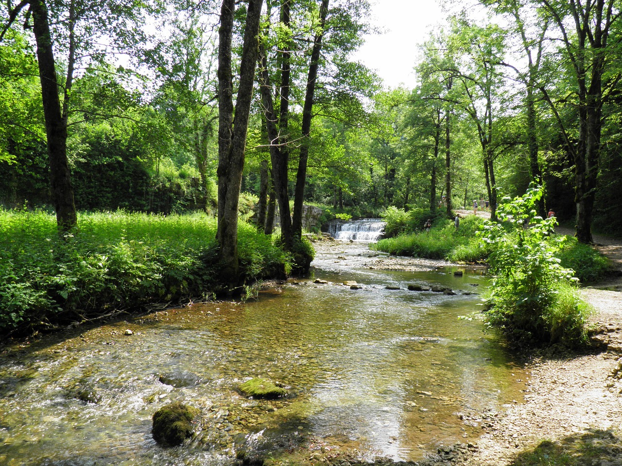 landscape nature green free photo