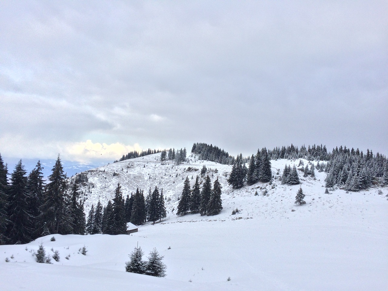 landscape winter snow free photo