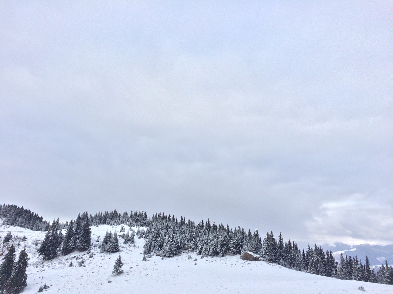 landscape winter snow free photo