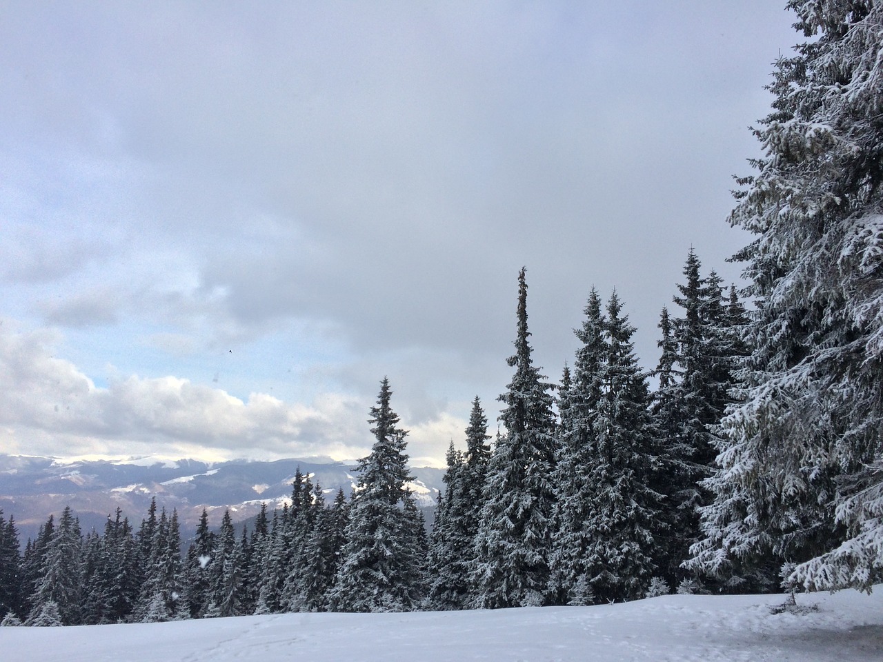 landscape winter snow free photo