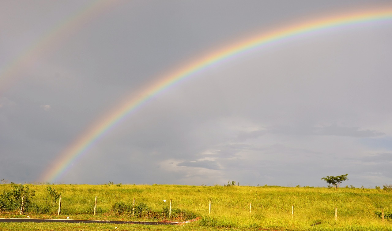 landscape rain brazil free photo