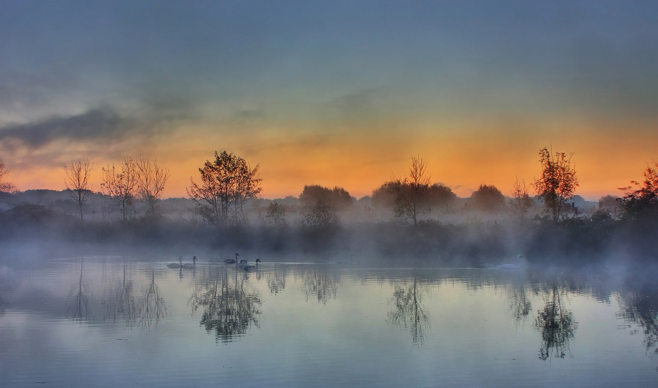 landscape fog water free photo