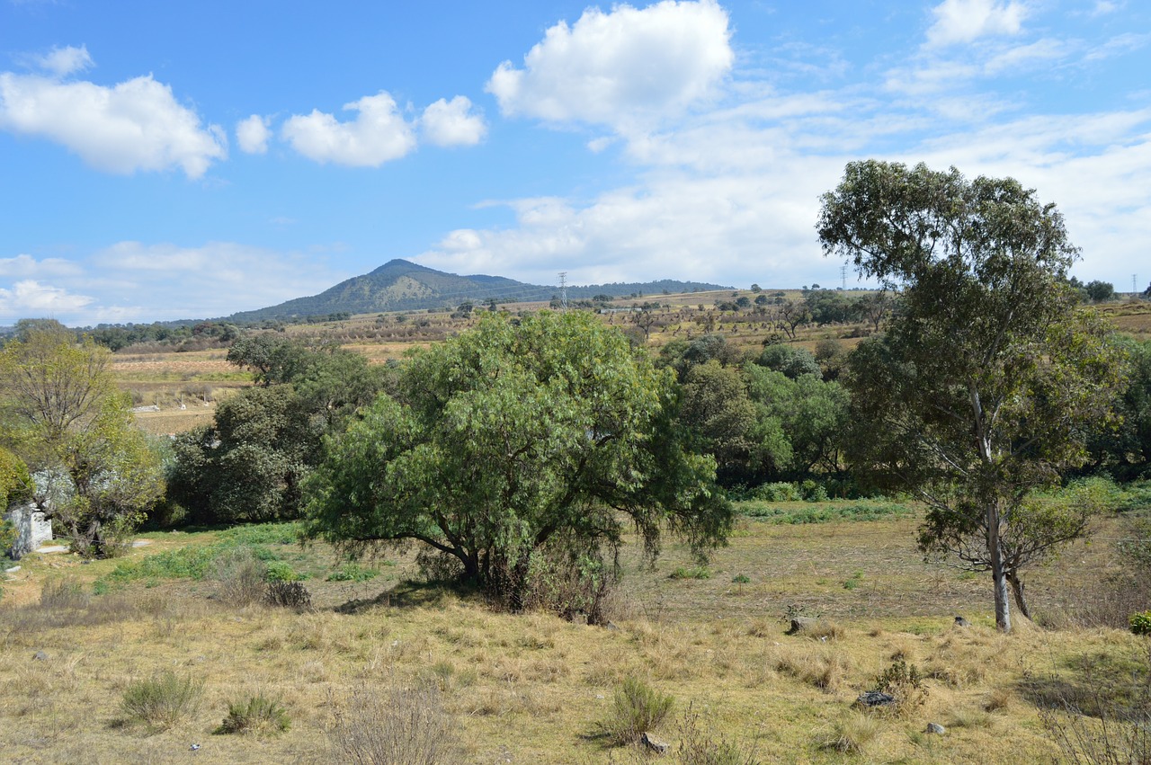 landscape clouds nature free photo