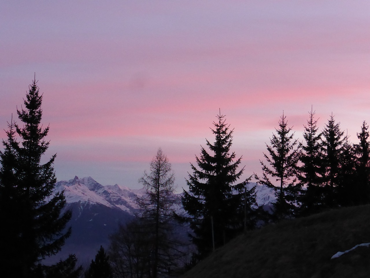 landscape sunset tree free photo