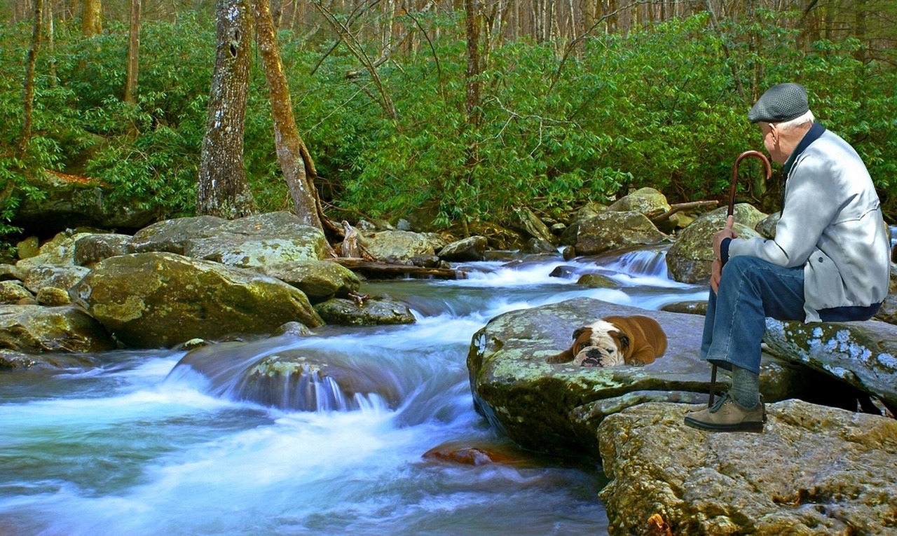 landscape nature creek free photo