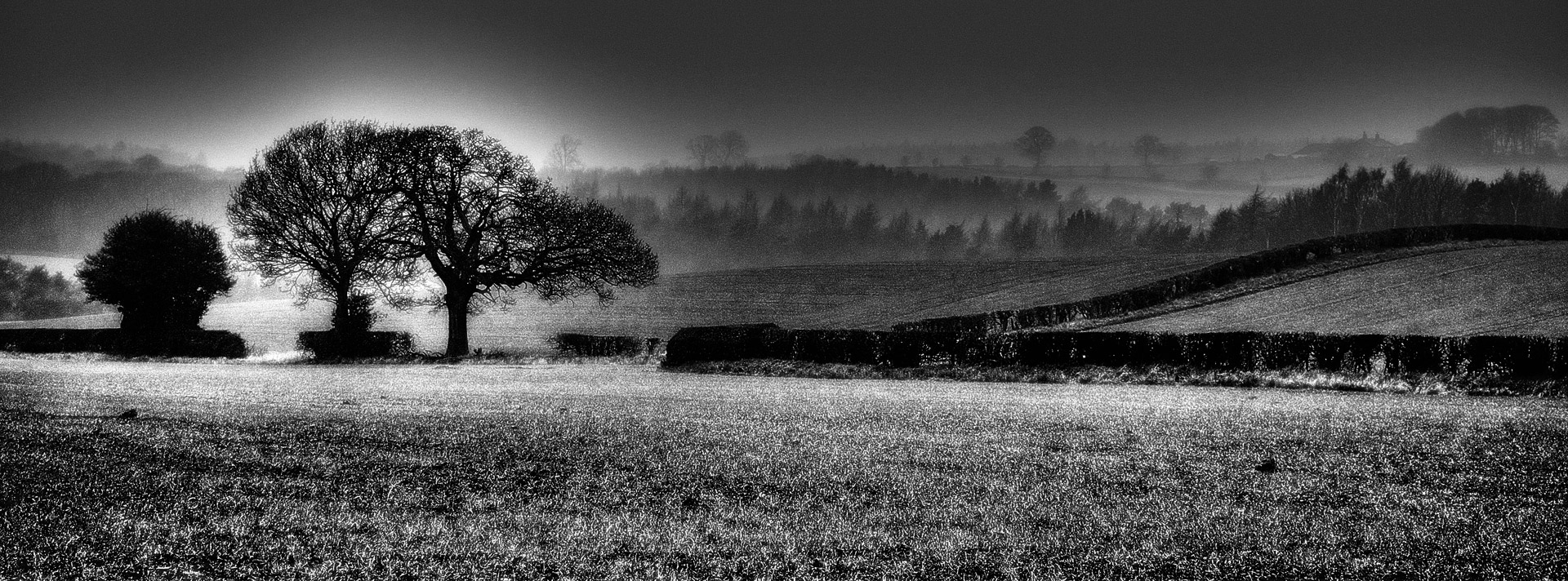 landscape background field free photo