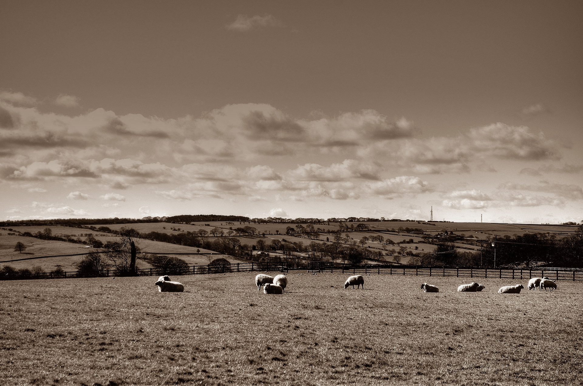 landscape seasons autumn free photo