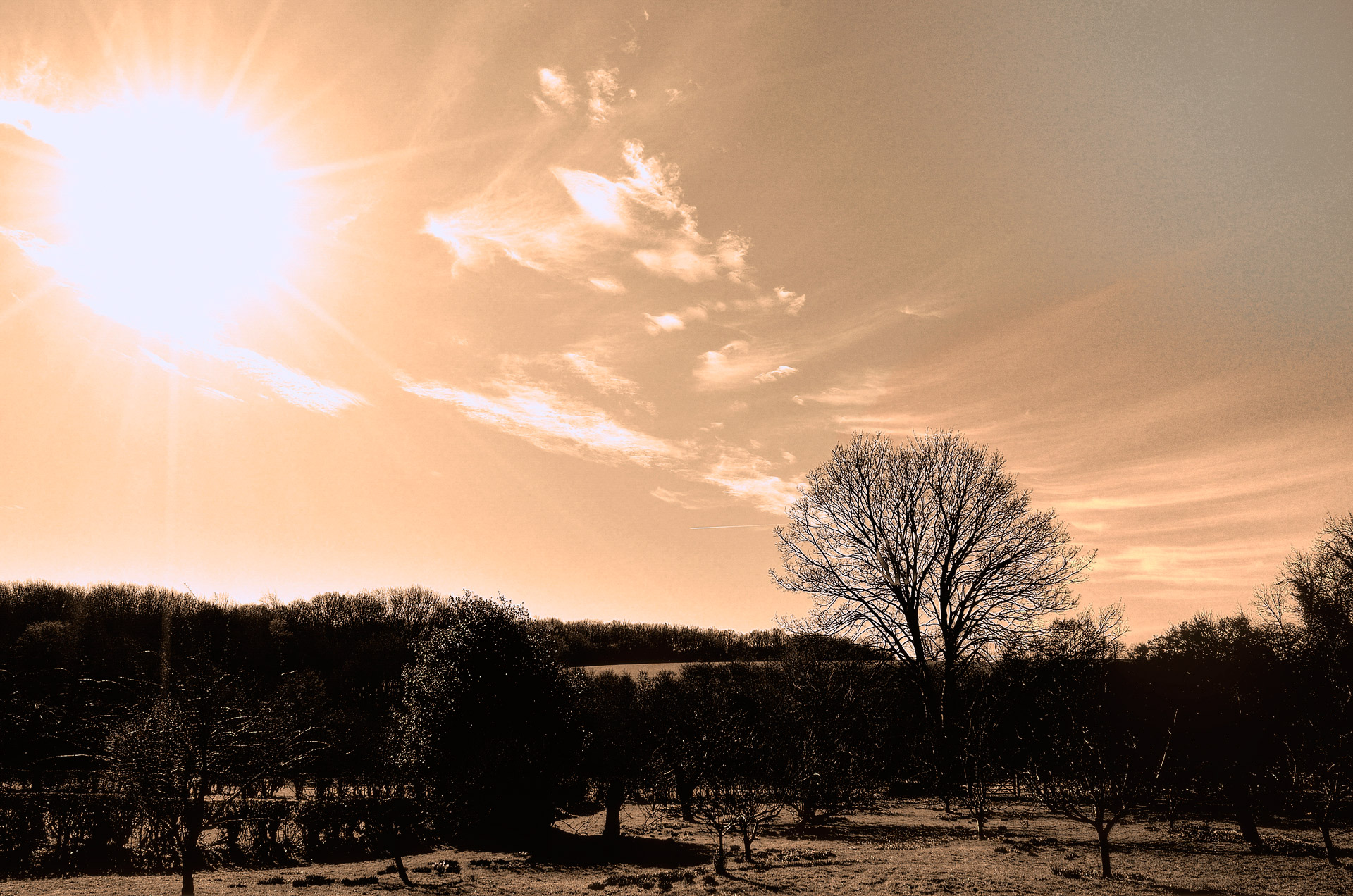 spring landscape sun free photo