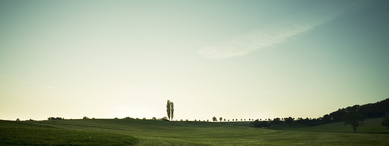 landscape tree nature free photo