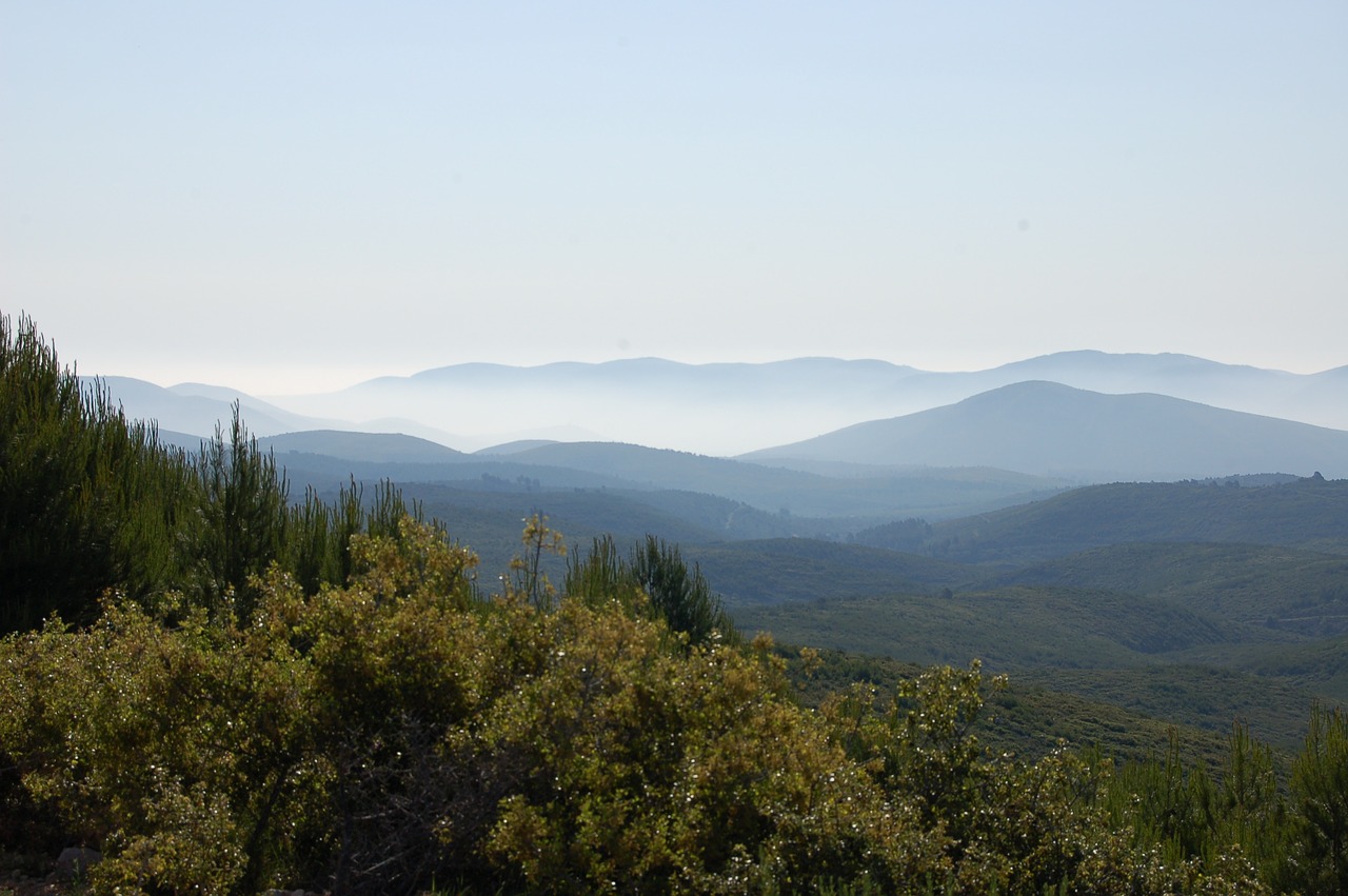 landscape mountain tree free photo