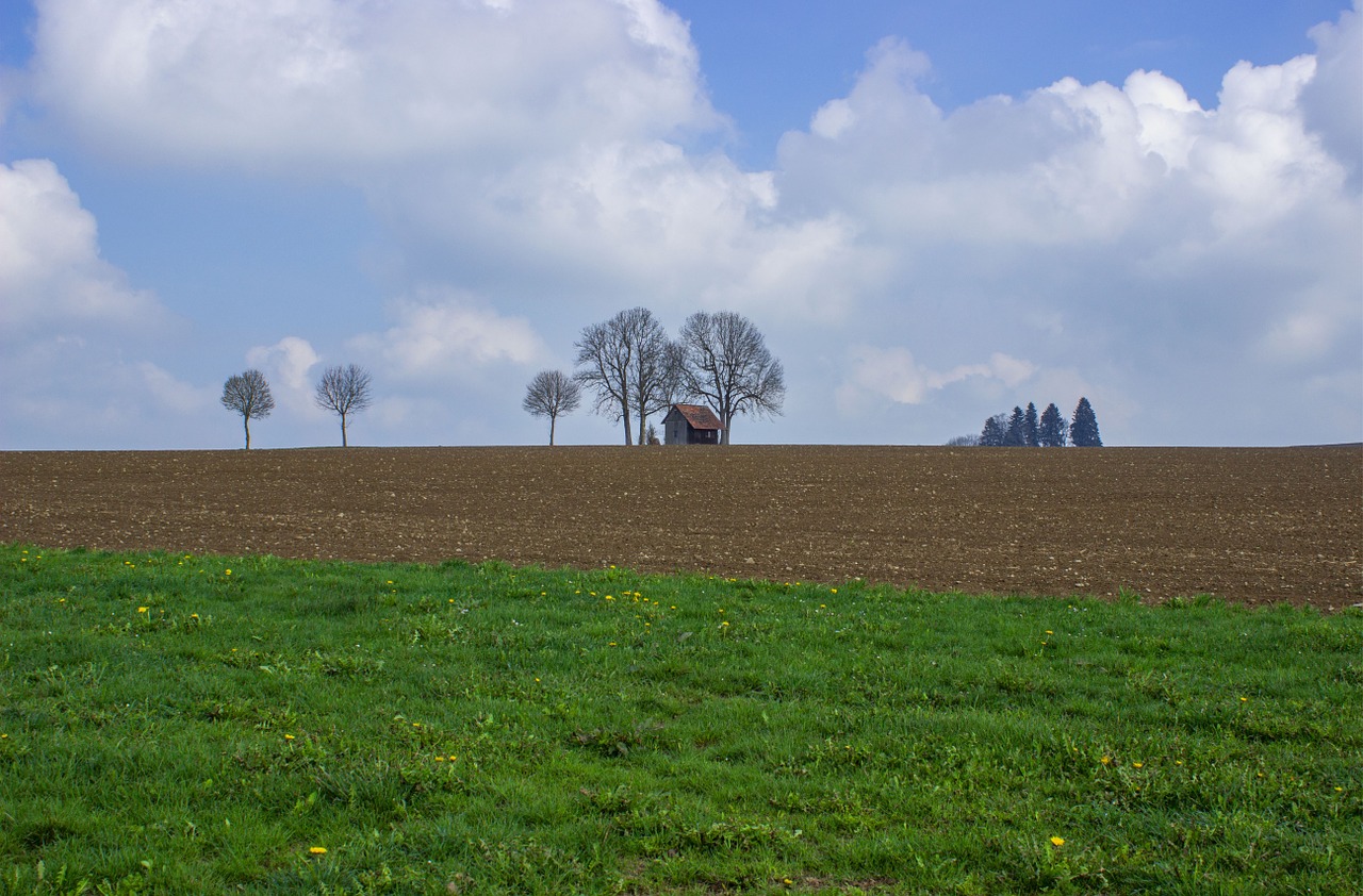 landscape meadow clouds free photo