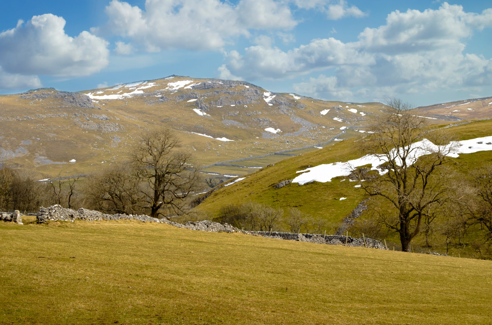 landscape fences spring free photo