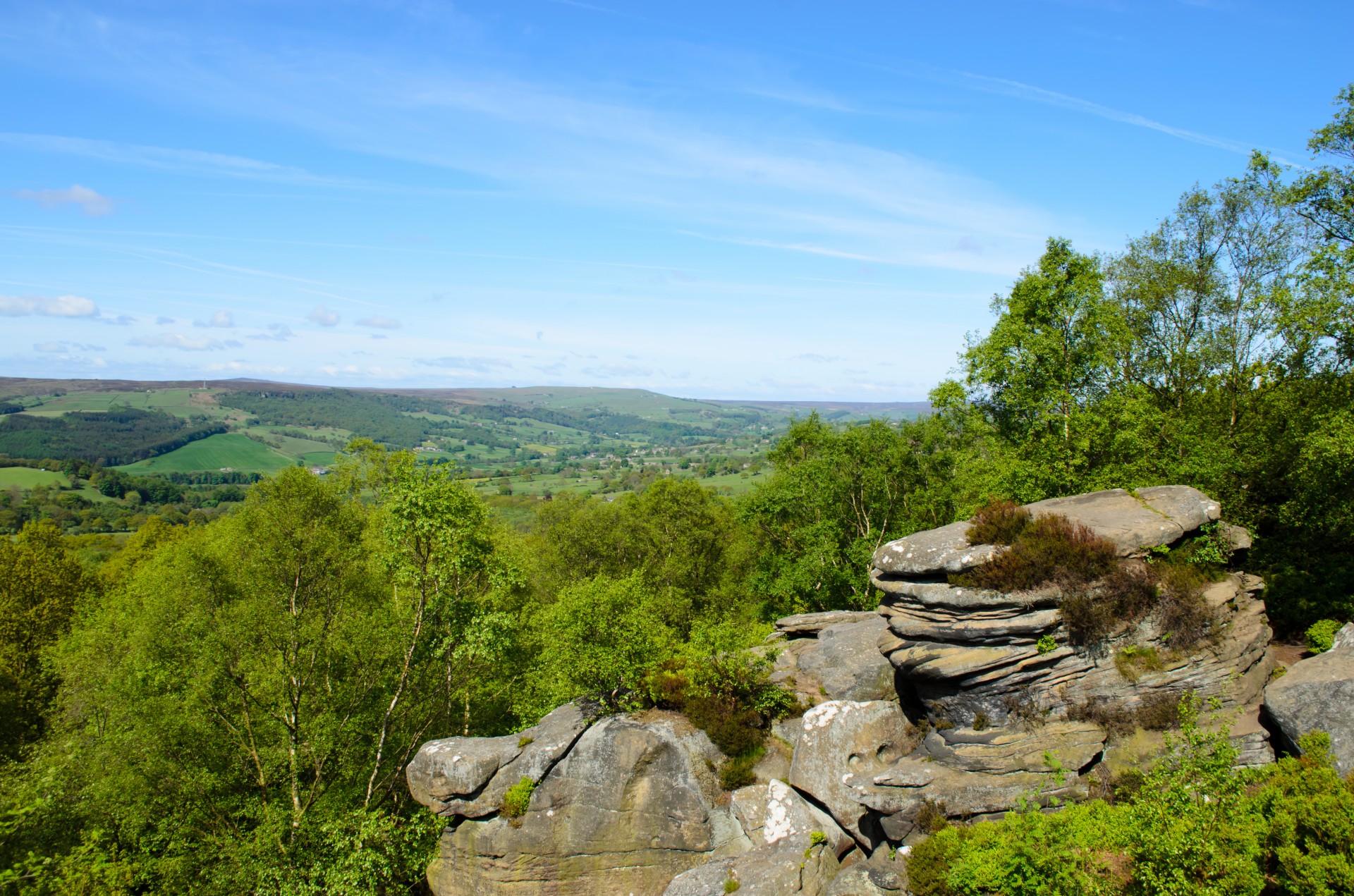 landscape fences spring free photo