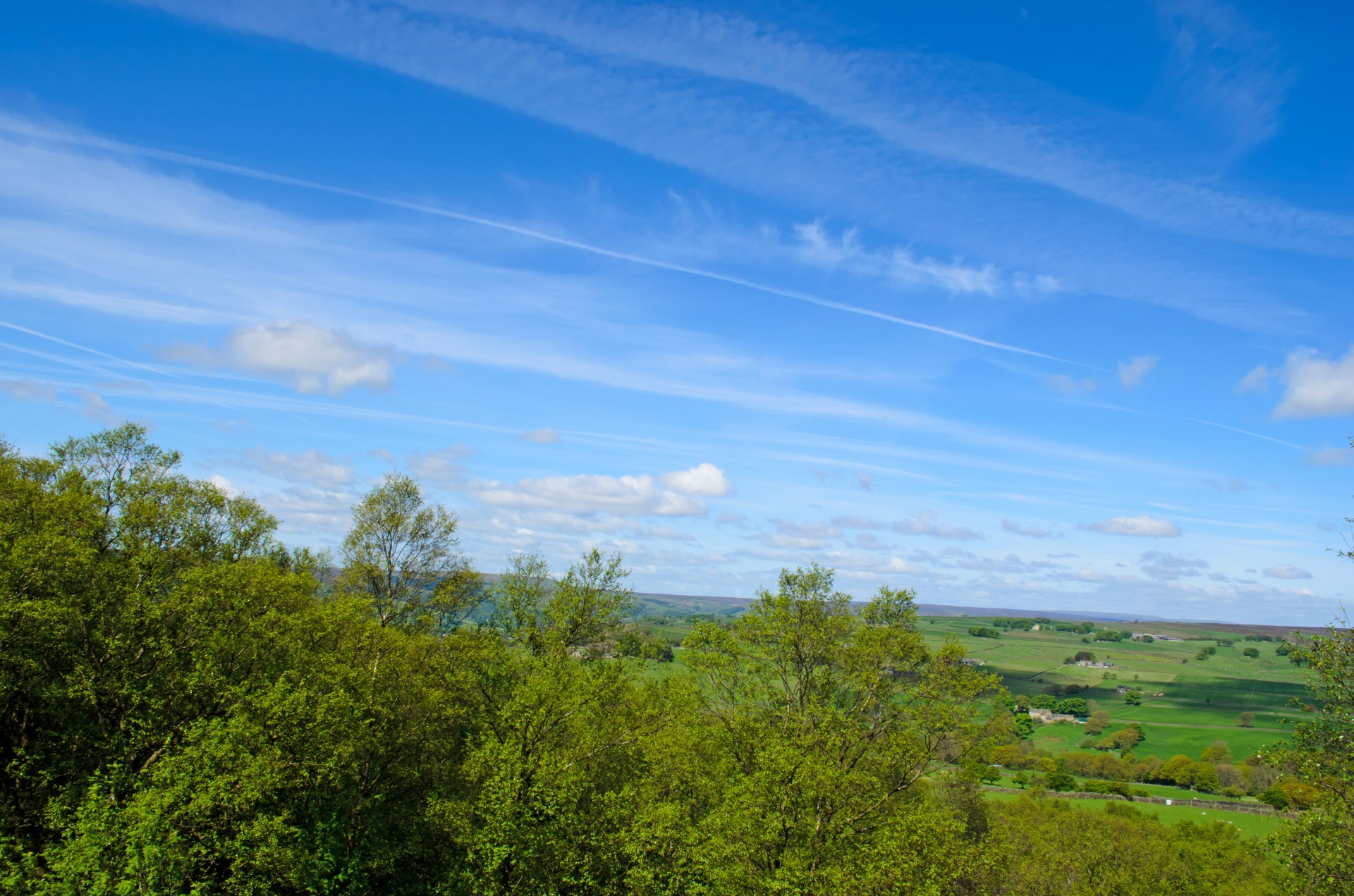 landscape fences spring free photo