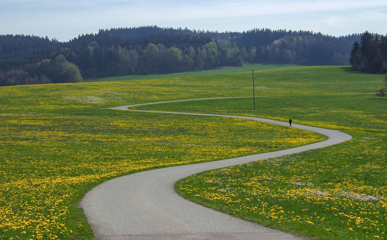 landscape flower meadow scale free photo