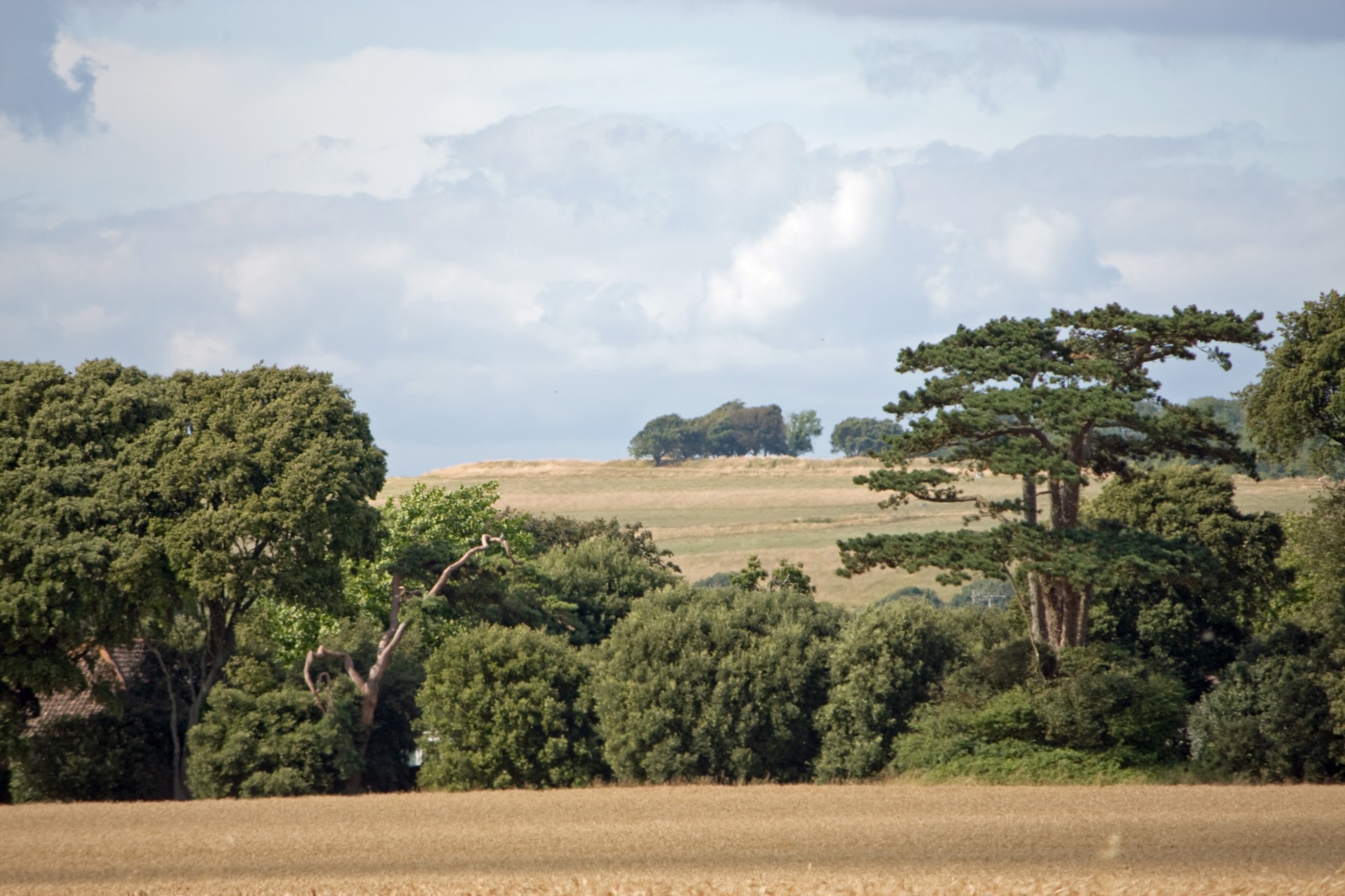 landscape beautiful downs free photo