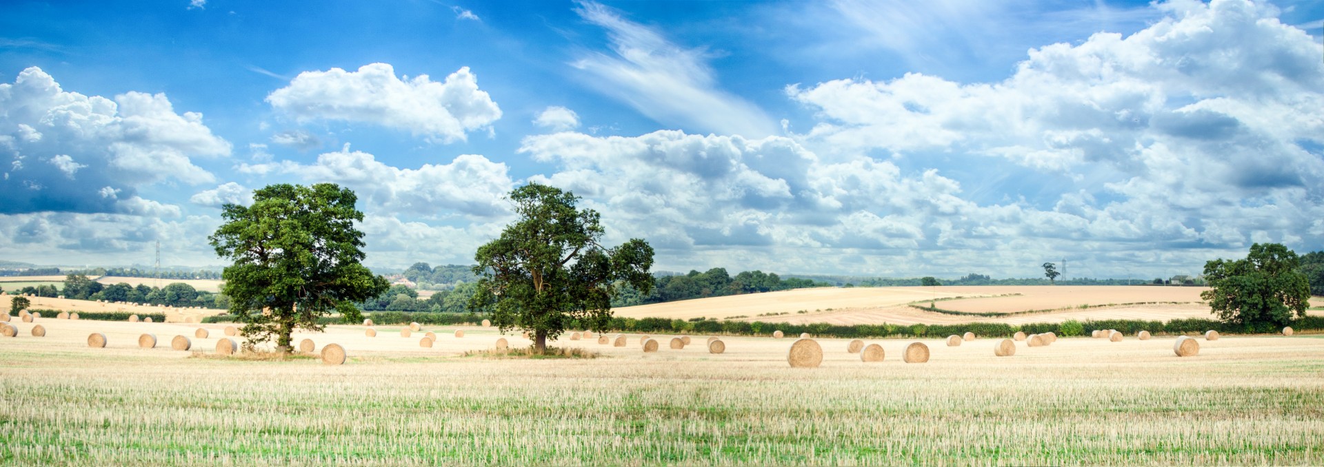 landscape agriculture tree free photo