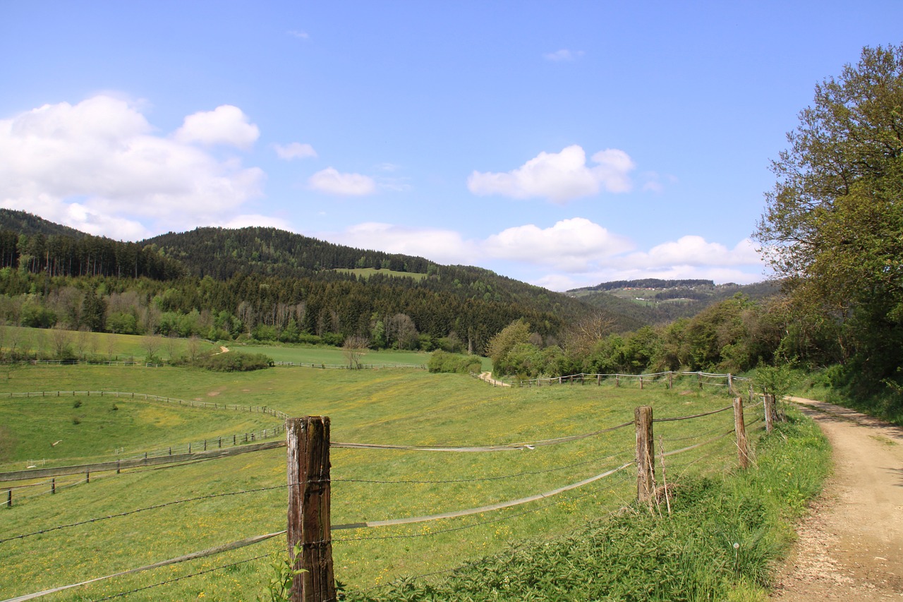 landscape meadow summer free photo