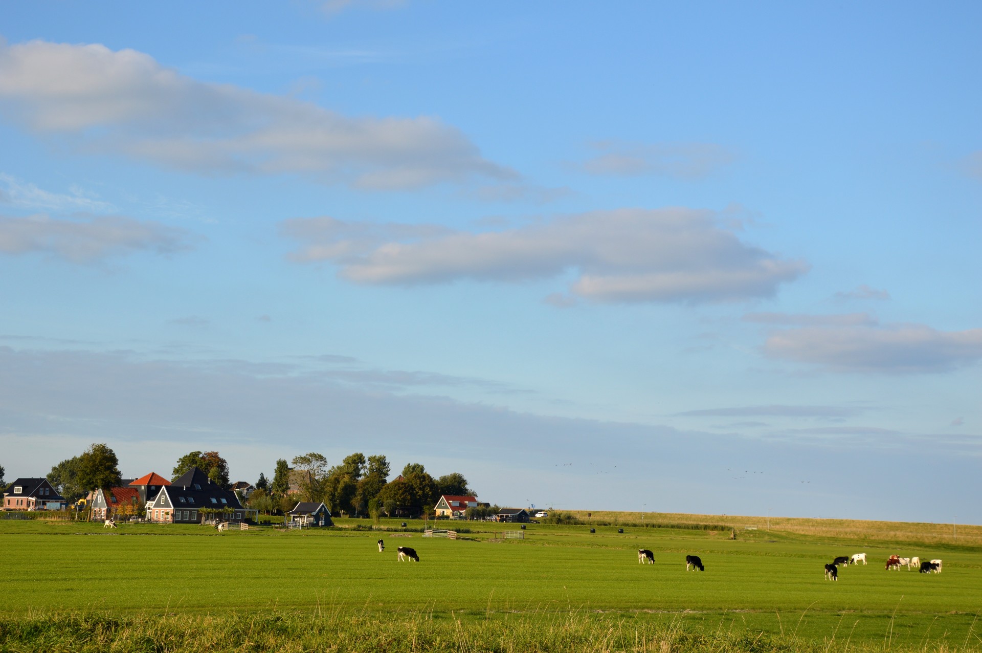 landscape panorama holland free photo