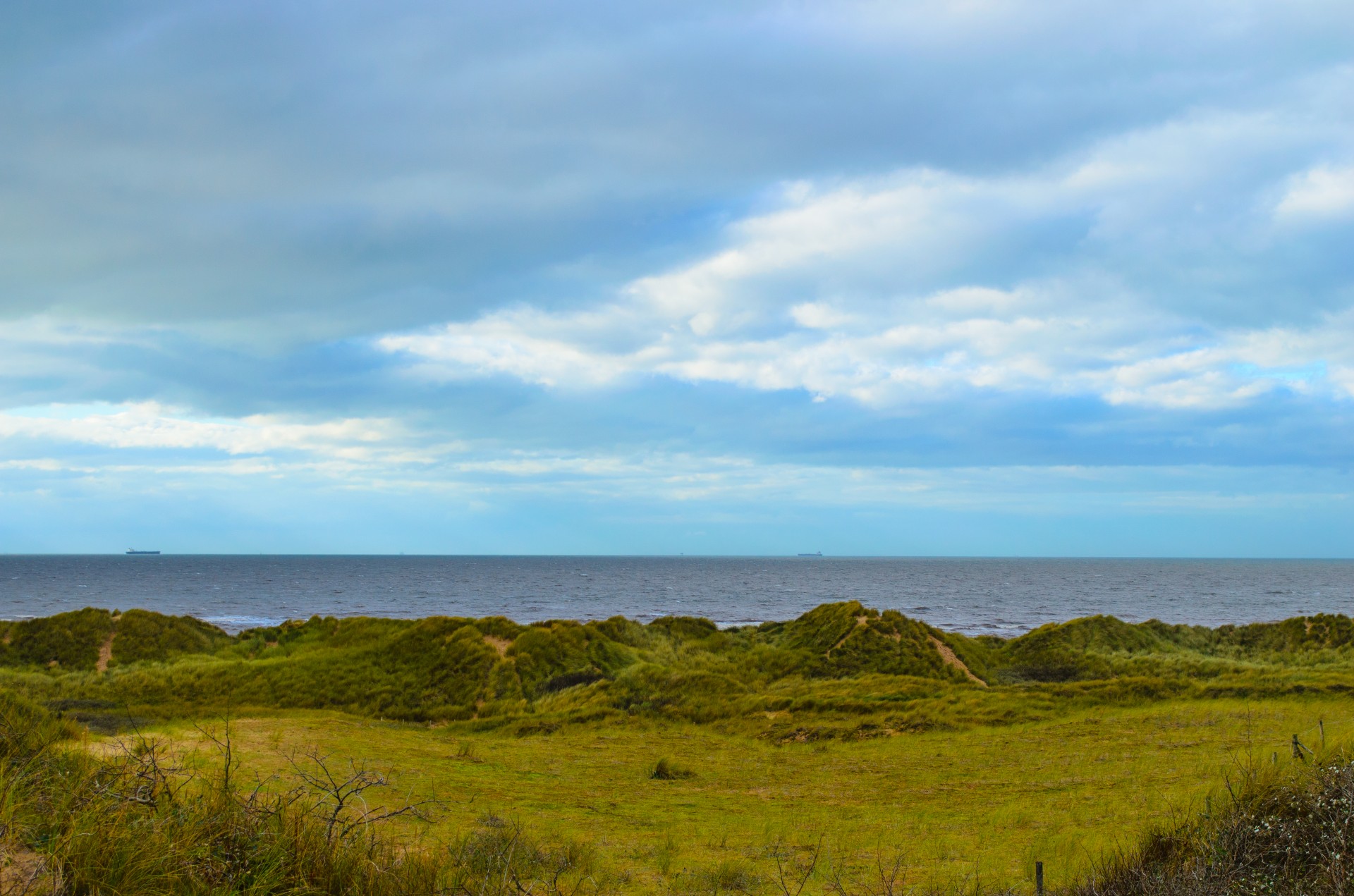 landscape nature grass free photo