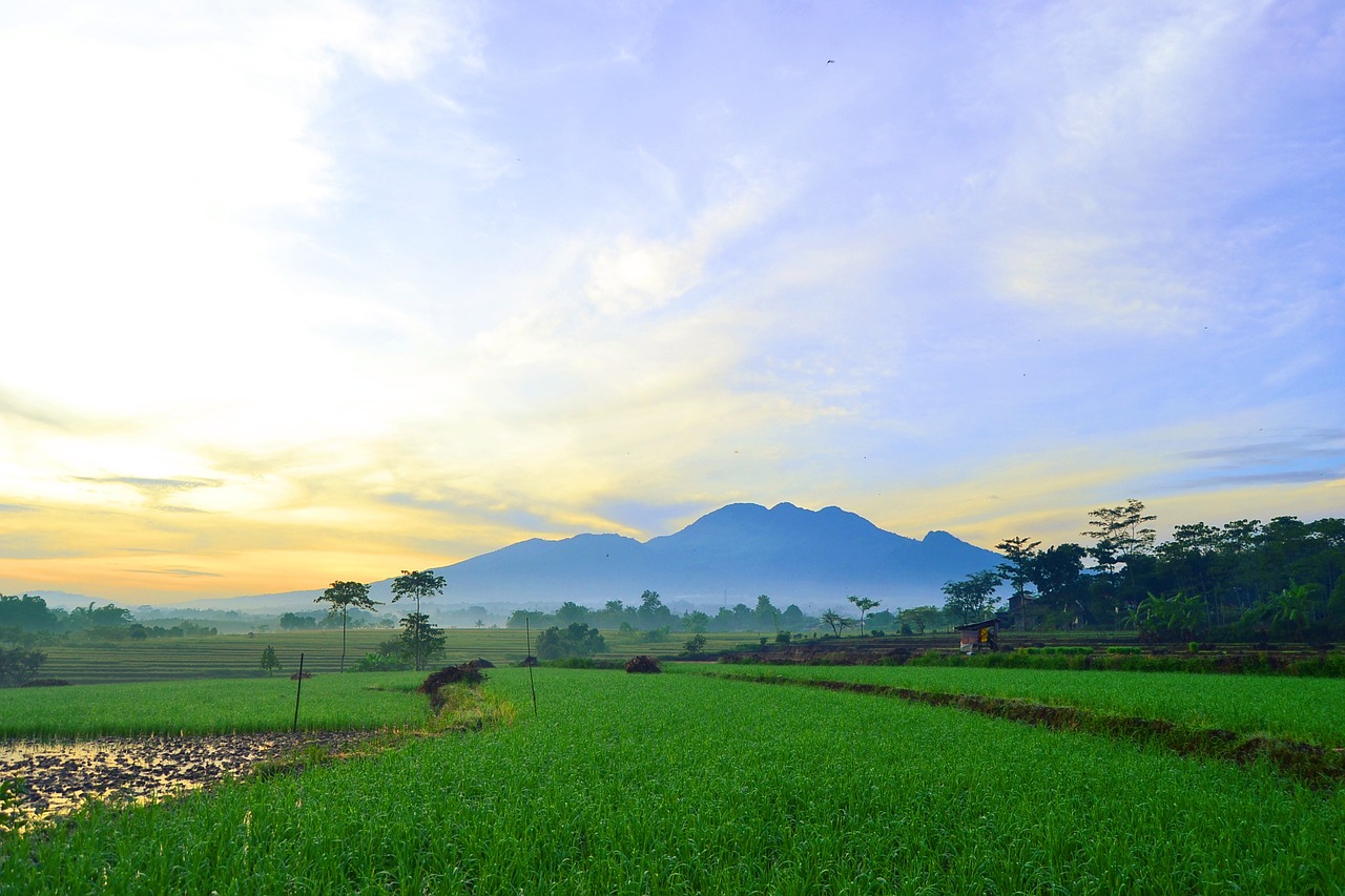 landscape mountain nature free photo