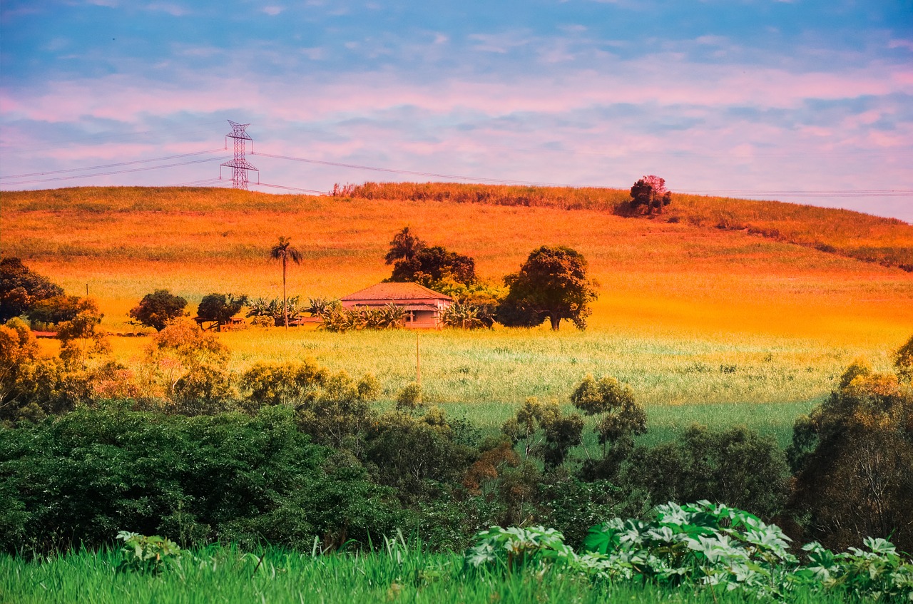 landscape eventide horizon free photo