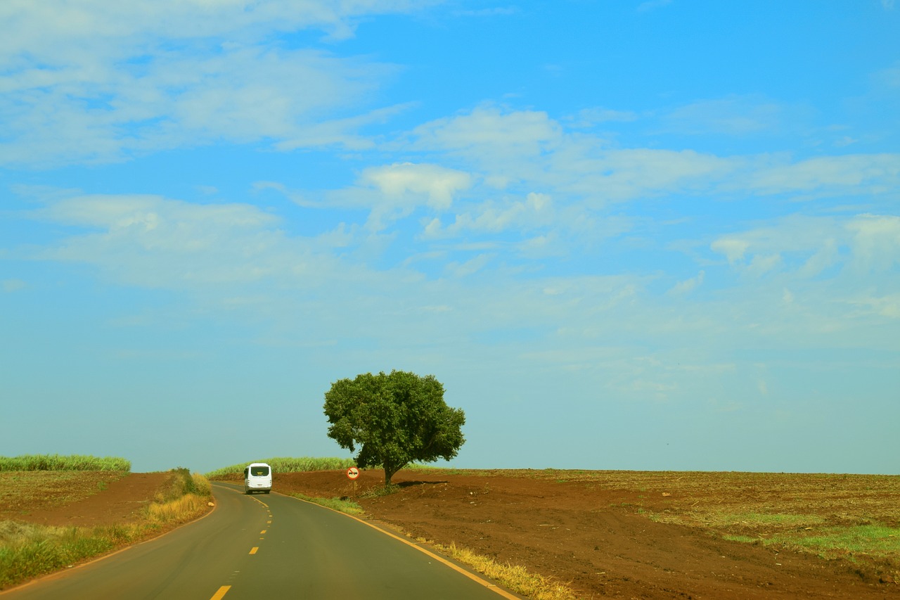 landscape plantation nature free photo