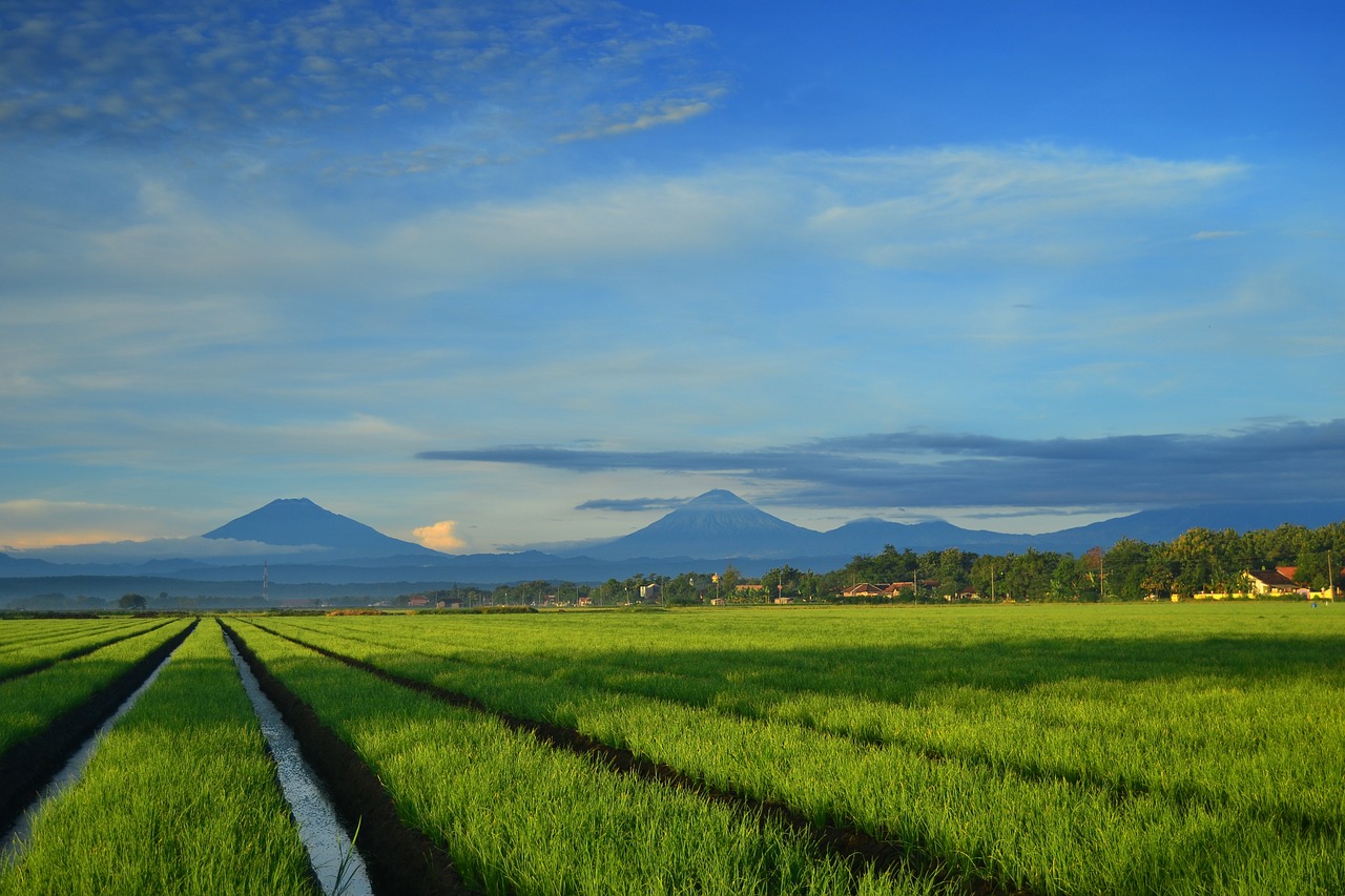 landscape mountain farm free photo