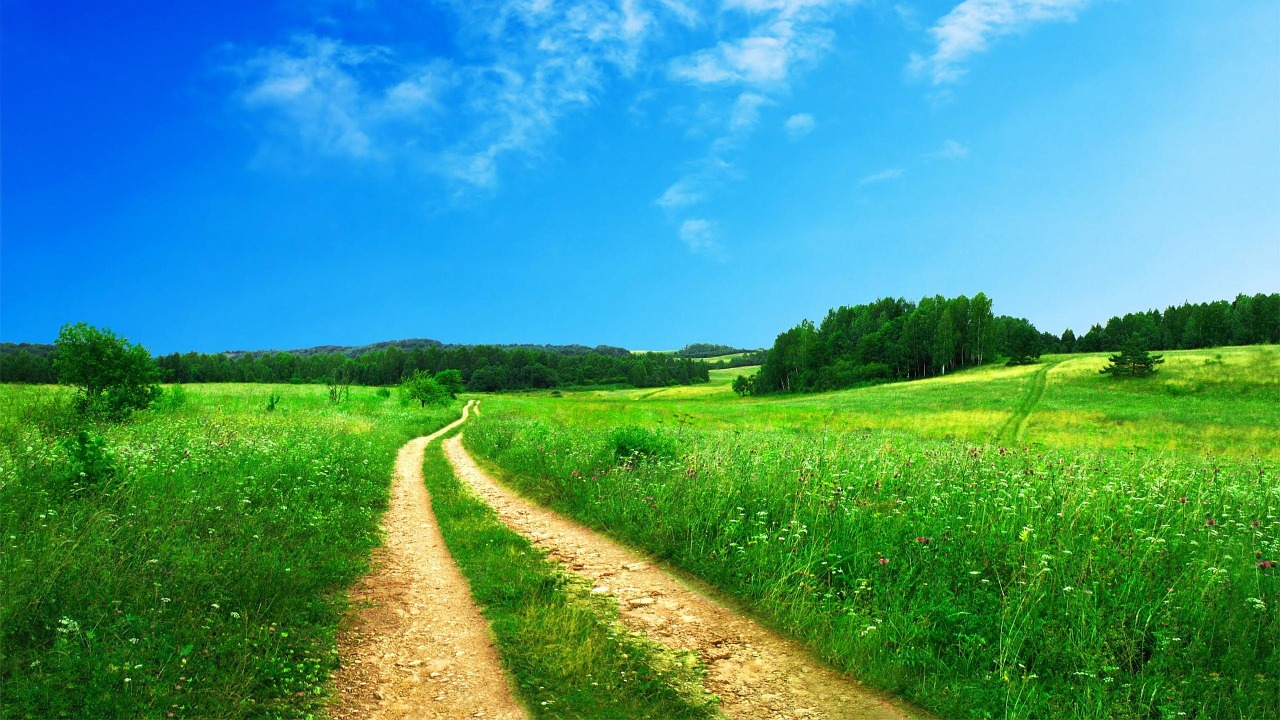 landscape crop path free photo