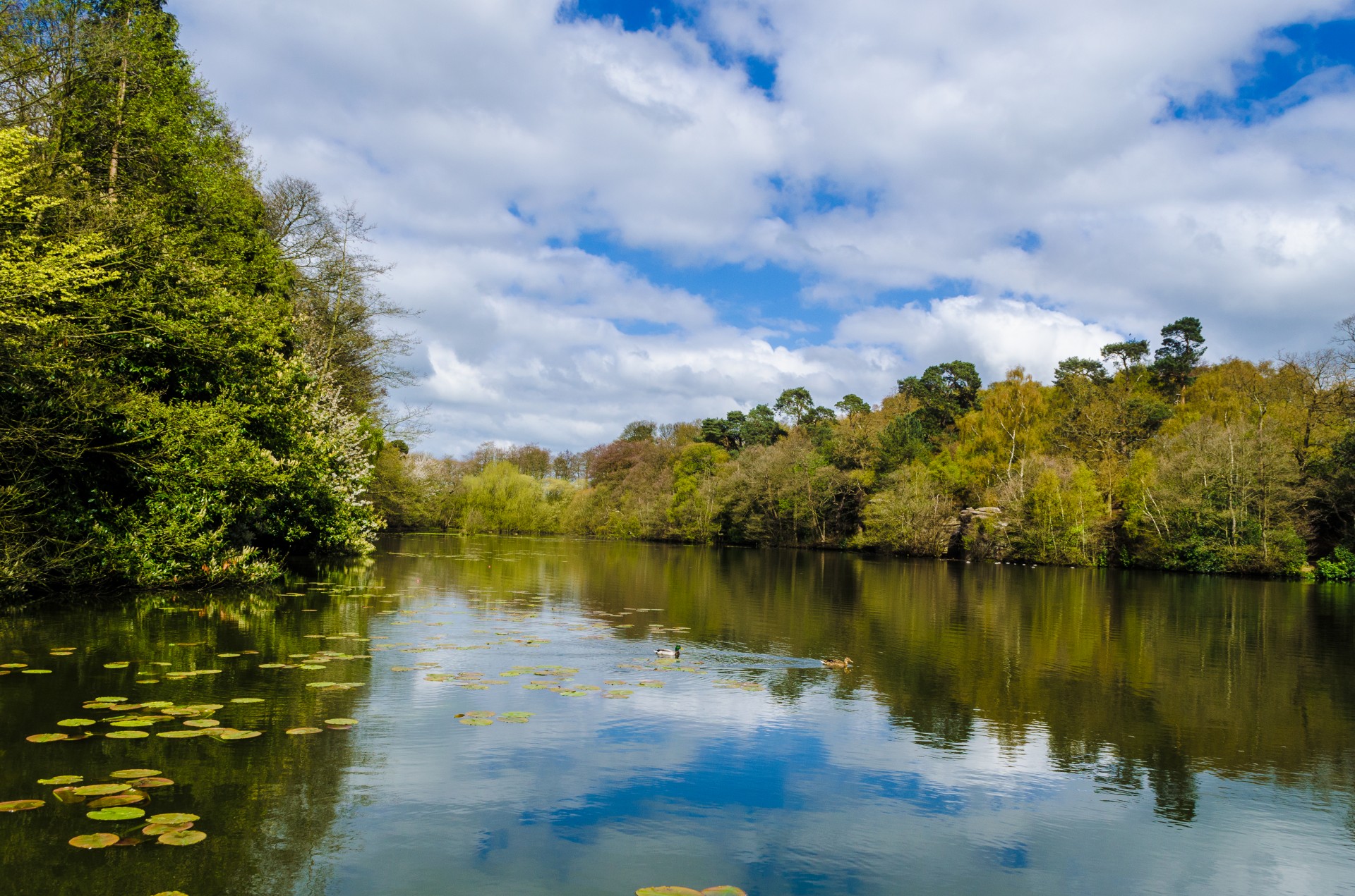 landscape spring summer free photo