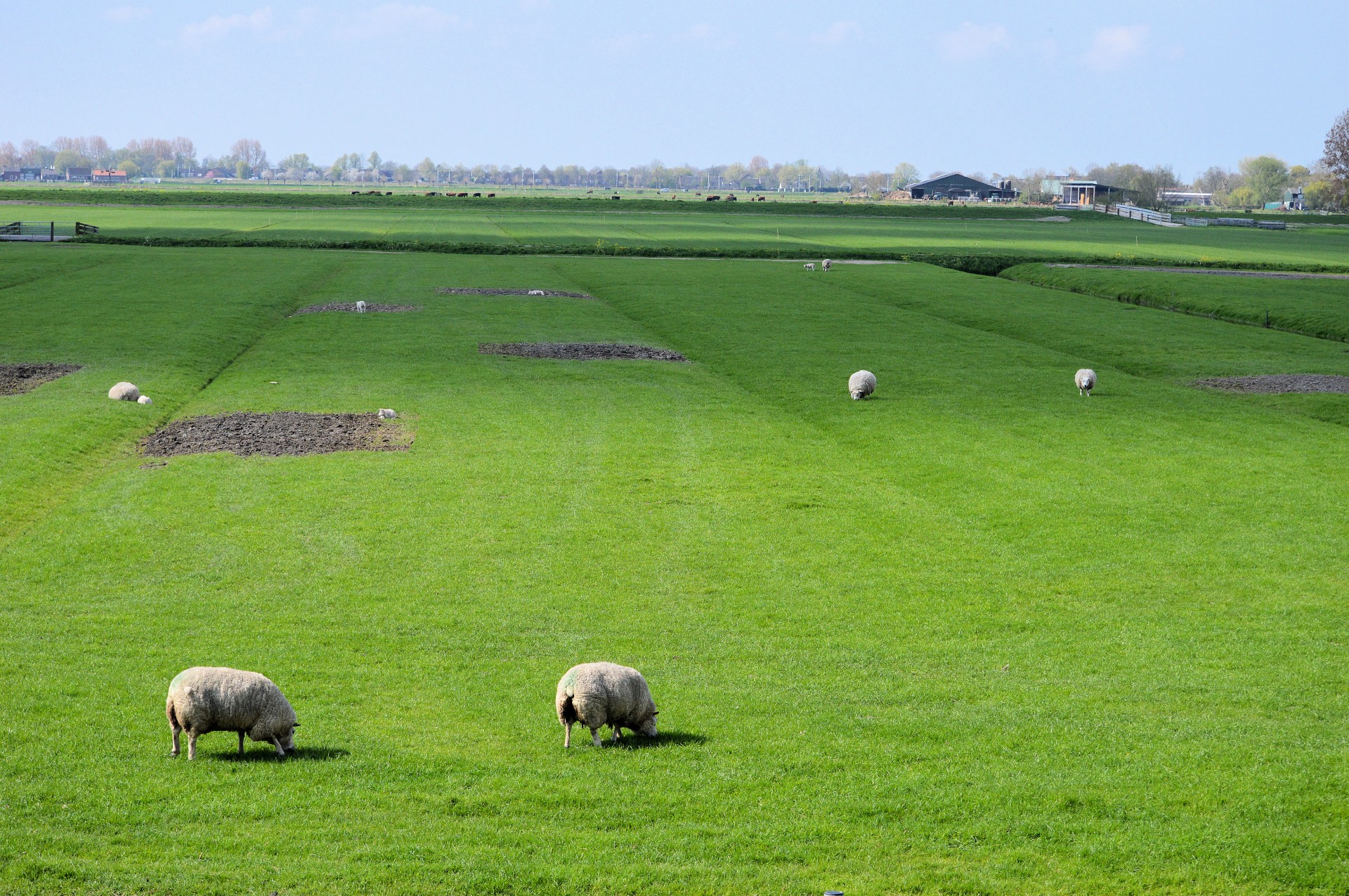 landscape holland view free photo