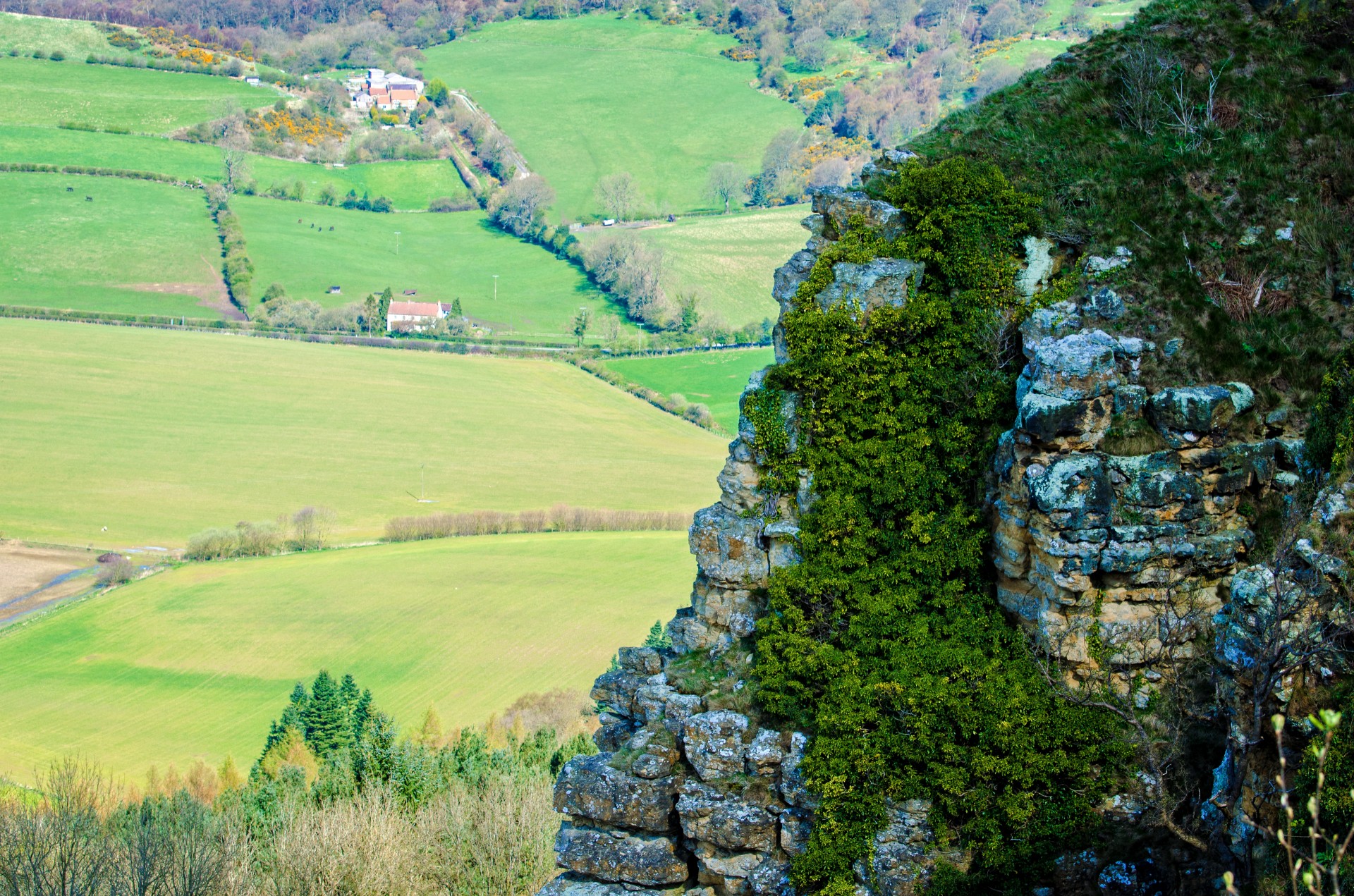 rock landscape green free photo