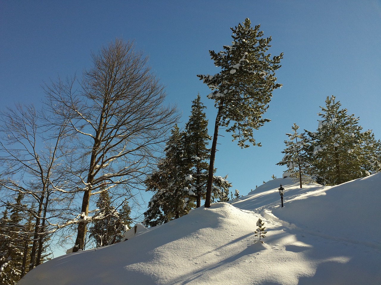 landscape winter wintry free photo