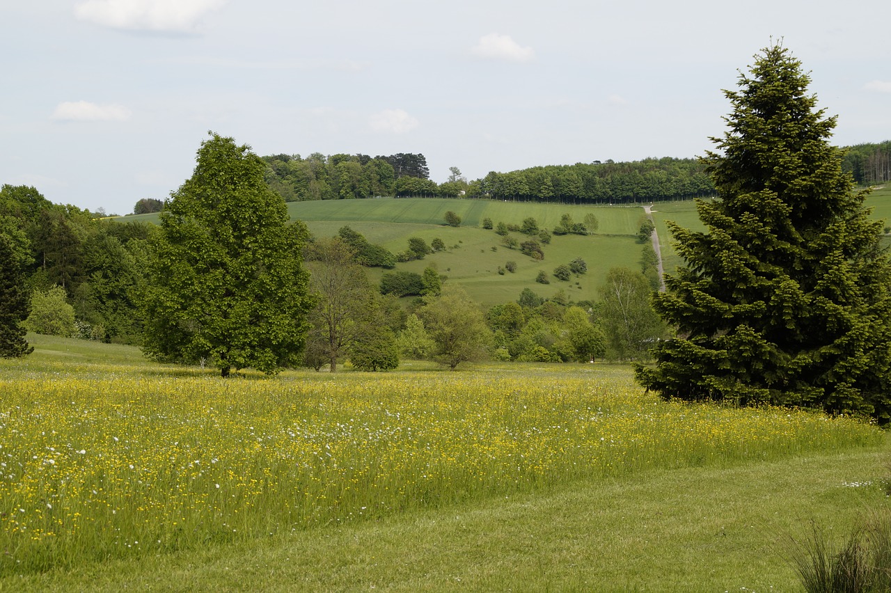 landscape spring sweet free photo