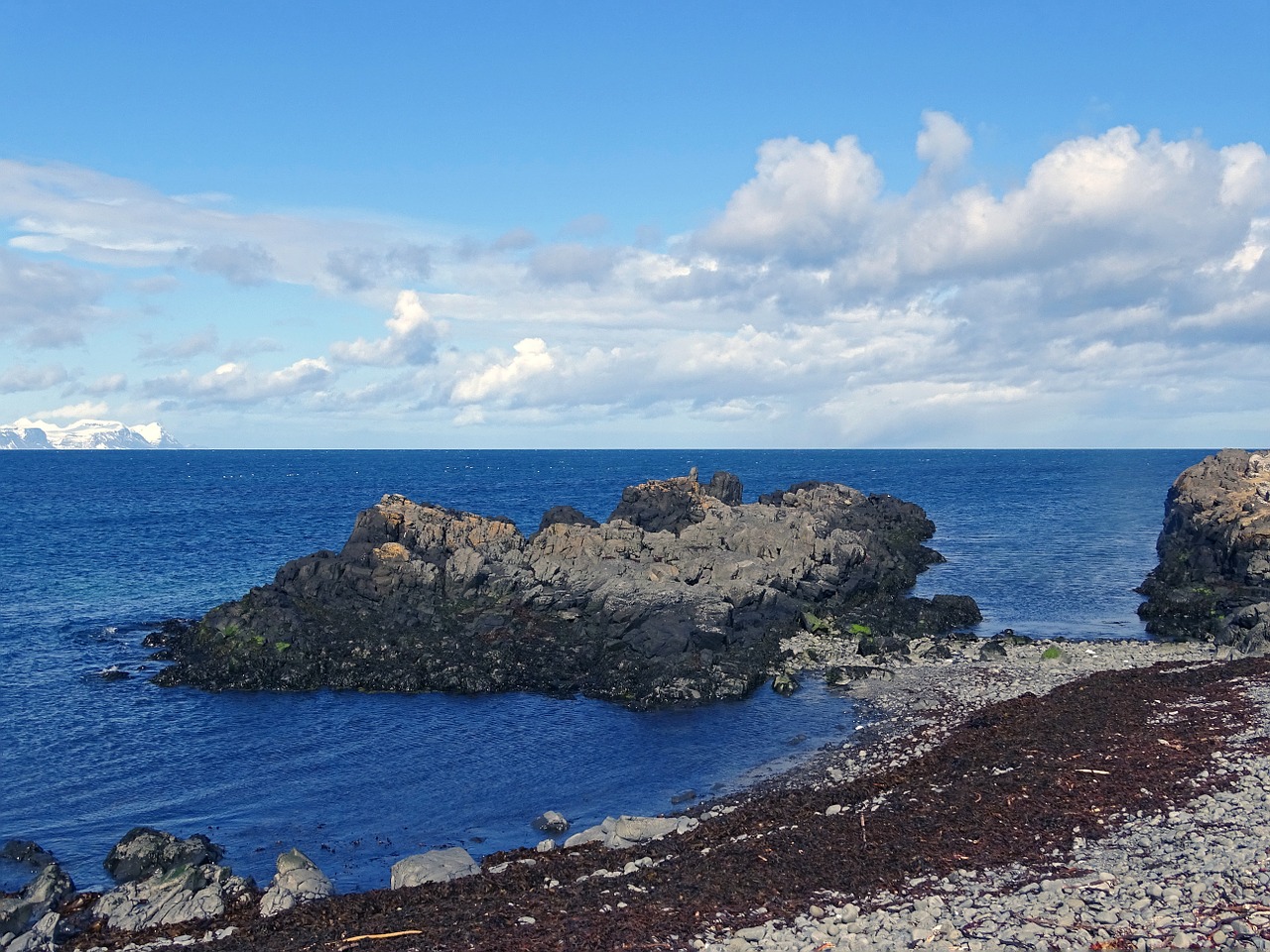 landscape iceland sea free photo