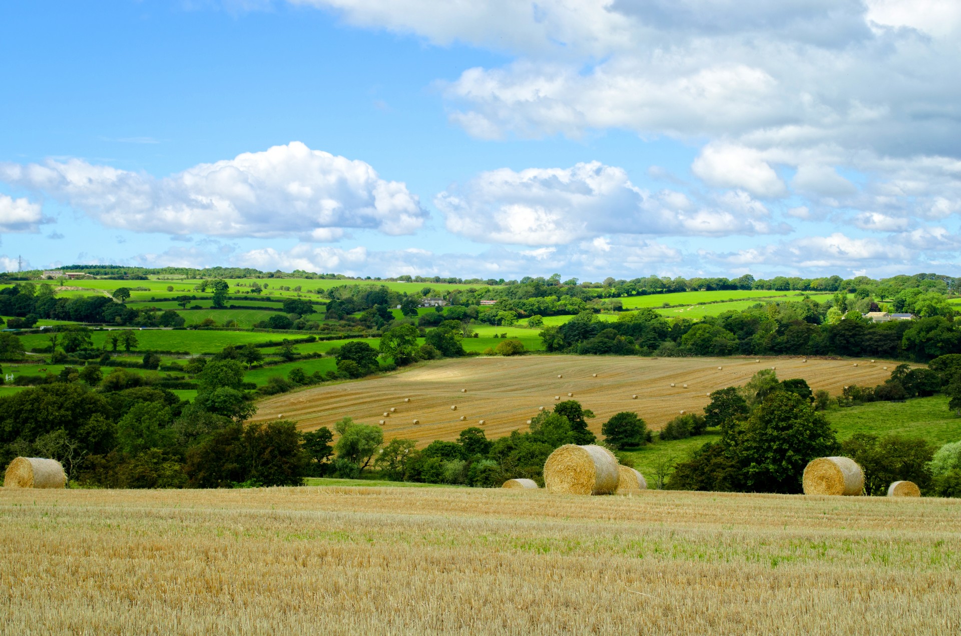 landscape spring summer free photo