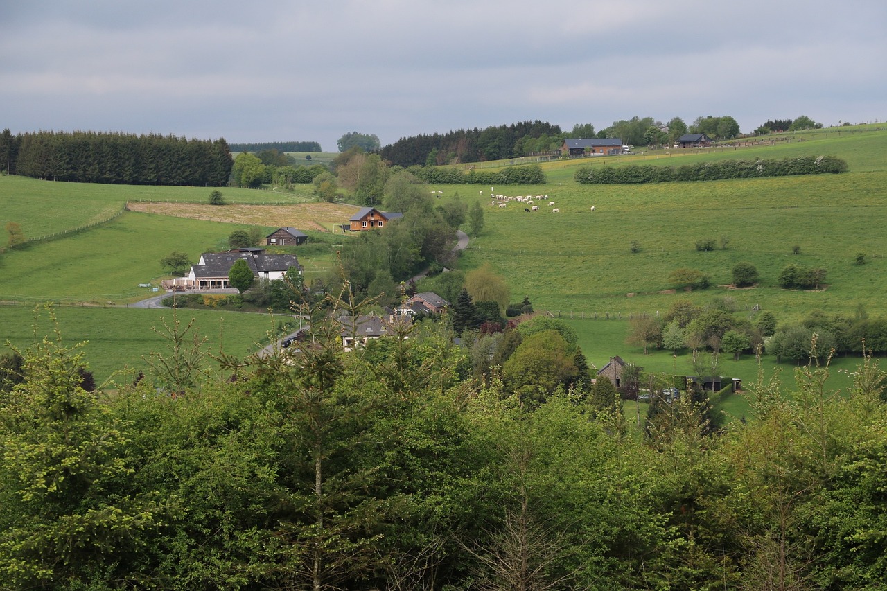 landscape meadow nature free photo