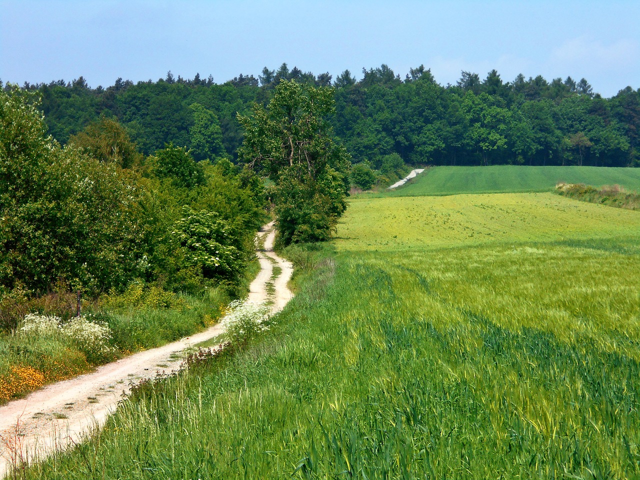 landscape way fields free photo