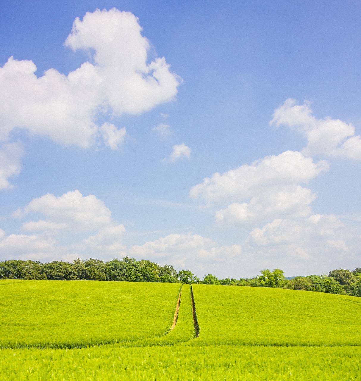 landscape field agriculture free photo