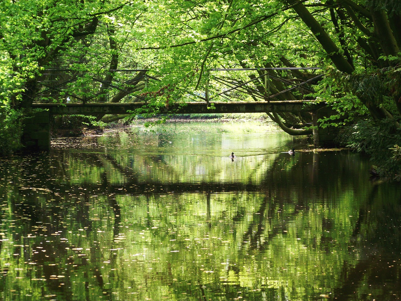 landscape nature water free photo